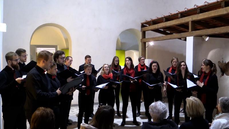 Featured image of post Lange Nacht der Chöre (VOCAMUS Vocalensemble)